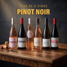 Caja de 6 botellas de Vinos Pinot Noir