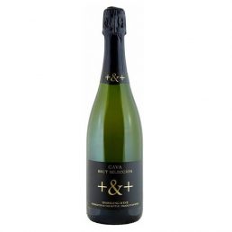 PINORD + & + Blanco Brut