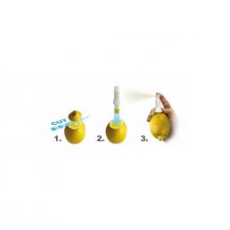 Wonderful Citrus spray - Birdie Vinos