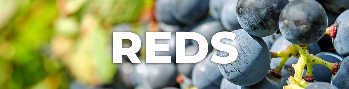 All the Red Wines of Birdie Vinos