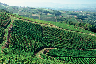 Bodega Rioja Vega